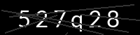 PHP Captcha für Piwigo