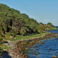 Ostsee - Die Küste am östlichen Ende von Fehmarn