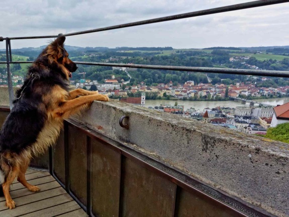 Santos geniest die Aussicht auf Passau