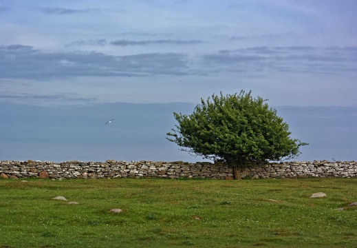 bei Ottenby an der Südspitze von Öland 