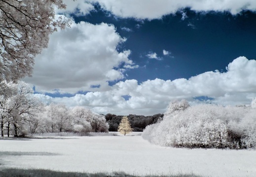 Landschaft am Rubbenbruchsee