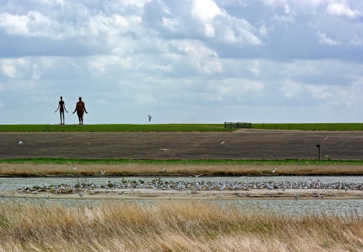 Frieslandtour - Skulpturen am Deich von Ternaard