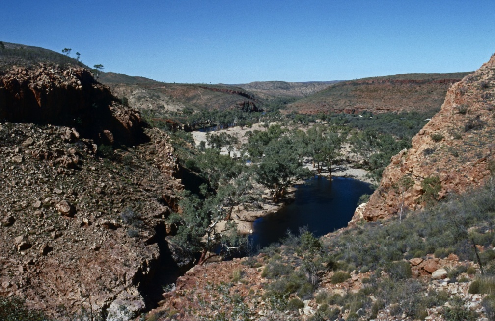 Die Ormiston Gorge ist von Alice Springs aus gut zu erreichen, ich bin mit anderen "Touries" auf einer geführten Tour von Toddy's Camping Safaris hingefahren. Die Ormiston Gorge ist eine Schlucht im Western McDonnell Nationalpark die ein permanentes Wasserloch aufweist.
AUS-361_Alice Springs_Orniston Gorge_88-05-20v.jpg