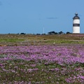 Leuchtturm Morups Tånge, SWE