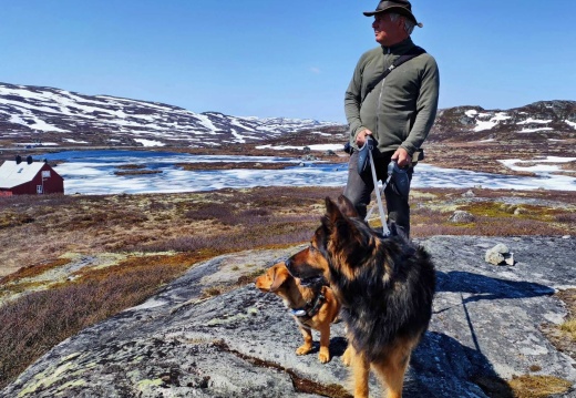 Hardangervidda, NOR