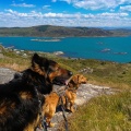 Fjøløy, Santos & Maxl, NOR
