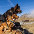 Santos & Maxl am Timmelsjoch