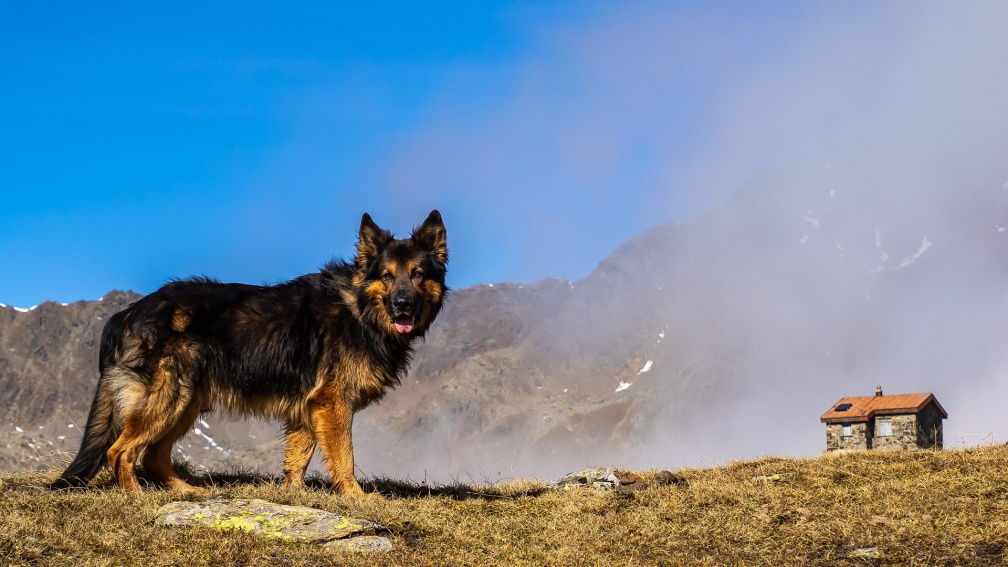 0287_Timmelsjoch_OM102493_WLrbrZv_Santos_Hütte.jpg