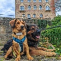 Maxl & Santos vor dem Hambacher Schloß