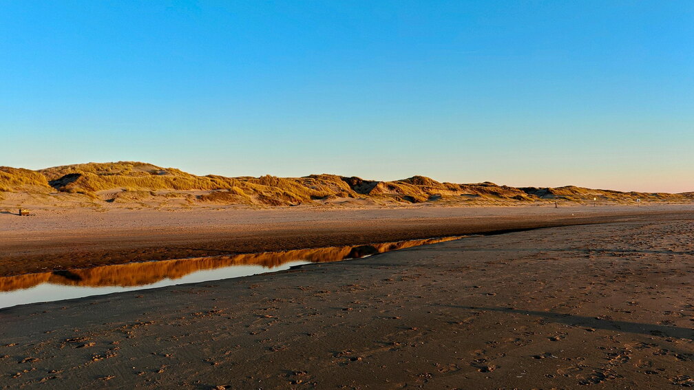 164_Callantsoog_JZEbv_250319_Strand_Dünen.jpg