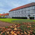 Teuto/Weser-Tour: Gräflicher Park Bad Driburg 