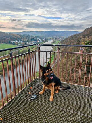 Teuto/Weser-Tour: Santos am Weser Skywalk