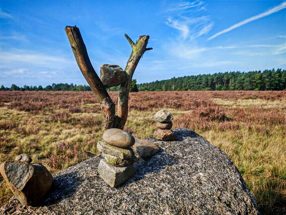 Elbe/Ostsee-Tour: Südheide bei Faßberg